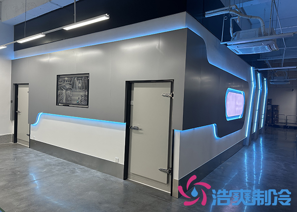  智能全自動(dòng)化醫(yī)藥公司冷庫定制安裝廠家