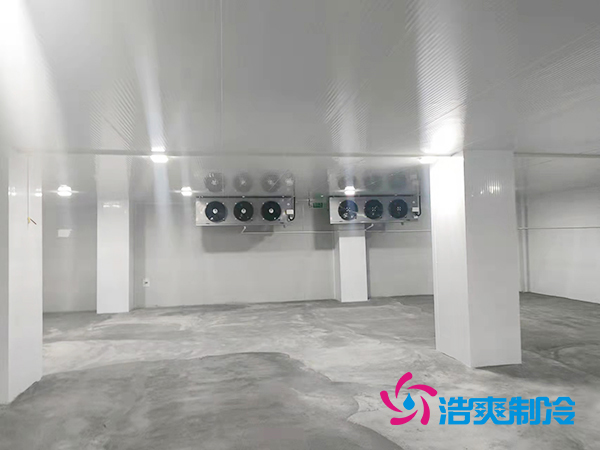  -20度醫(yī)藥冷庫建造價格標(biāo)準(zhǔn)是多少