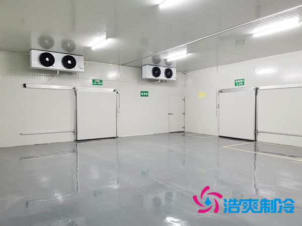  醫(yī)藥冷庫造價預(yù)算多少錢及其設(shè)計要點