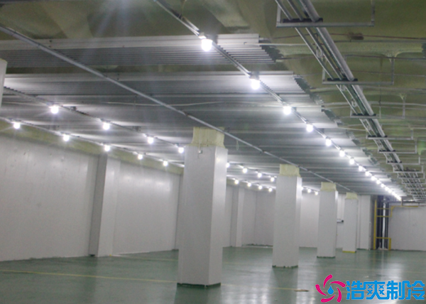  江西醫(yī)藥冷凍庫工程設(shè)計施工方案