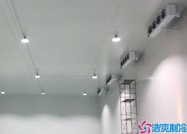  永州gsp醫(yī)藥冷庫建設(shè)標準及設(shè)計方案