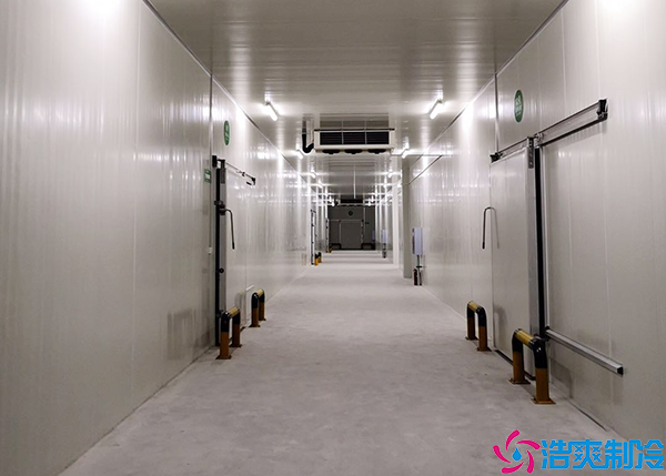  岳陽GSP醫(yī)藥冷庫建造公司