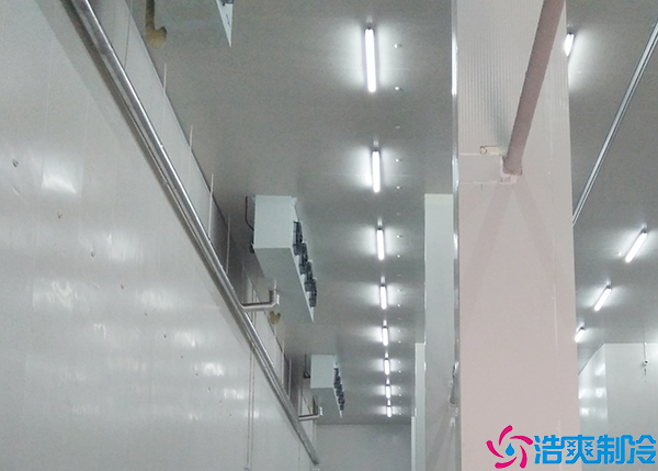  廣東藥品冷庫建造公司