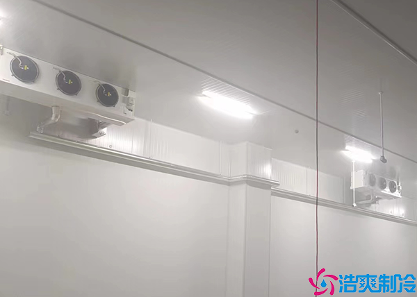  張家界藥品冷藏冷庫施工項(xiàng)目有哪些內(nèi)容？