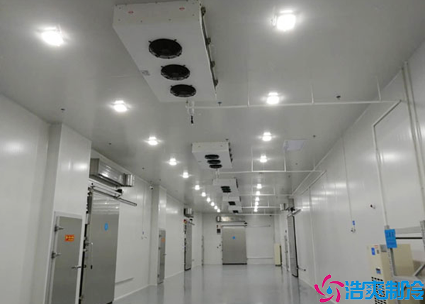  湖南醫(yī)藥冷凍庫(kù)建造價(jià)格多少錢一噸？