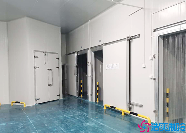  300懷化血漿冷庫建造價格多少錢？