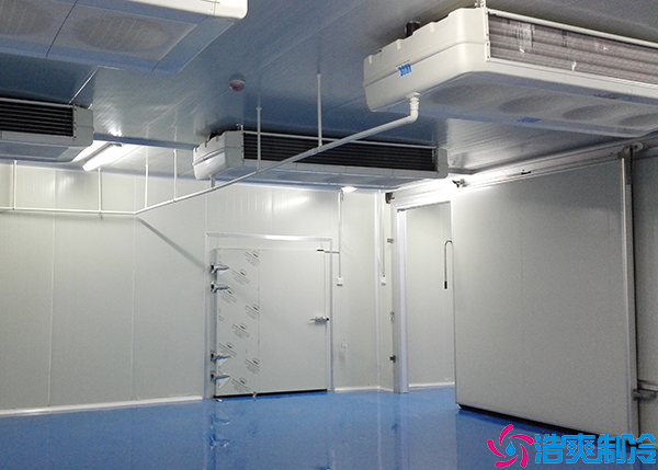  600方衡陽GSP醫(yī)藥冷庫建造價(jià)格多少錢？