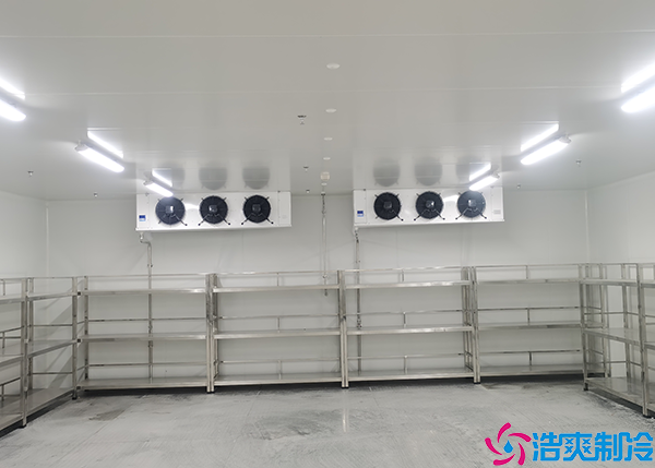  日照小型醫(yī)藥冷庫建設(shè)項目有哪些？