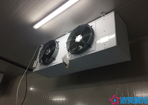  廣東醫(yī)藥冷凍庫建造廠家
