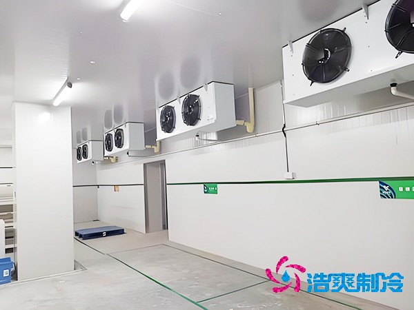 2-8℃醫(yī)藥倉儲(chǔ)冷庫