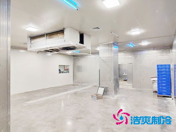 醫(yī)藥凈化冷庫建造